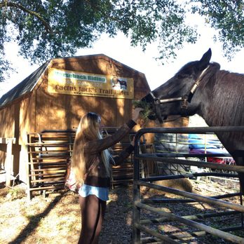 Cactus Jack's Trail Rides - Horseback Riding Near Me - Ocala, Florida