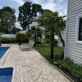 Island Wide Palm Trees - Windmill Palms - Nurseries & Gardening Near Me - Blue Point, New York Island Wide Palm Trees - Windmill Palms - Nurseries & Gardening Near Me - Blue Point, New York