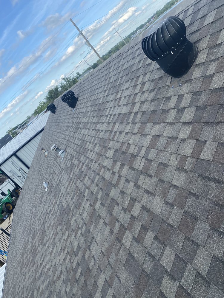 Slide of Auroras Roo