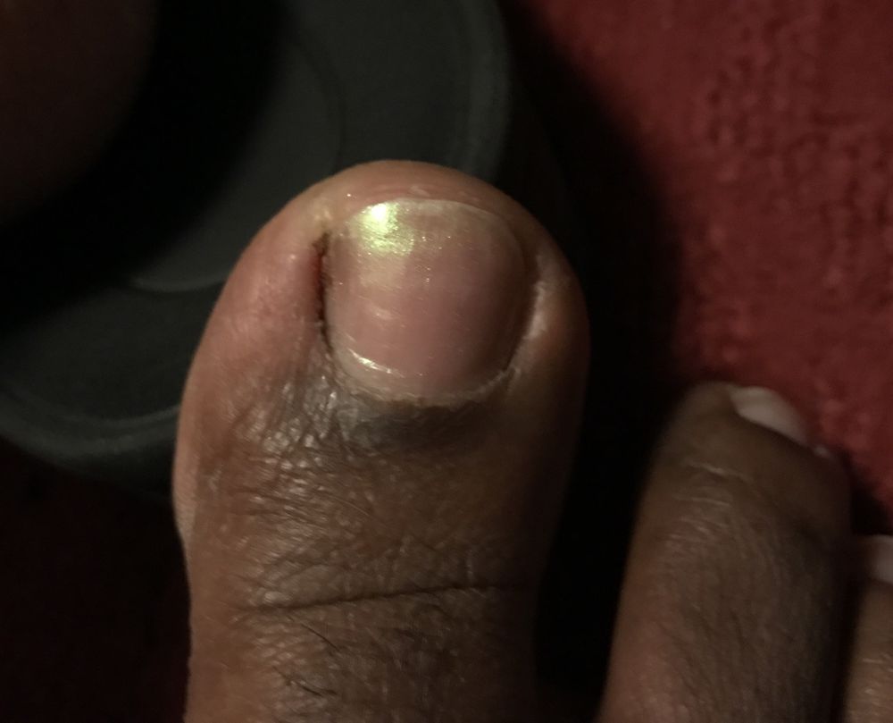 Season Nails Logo