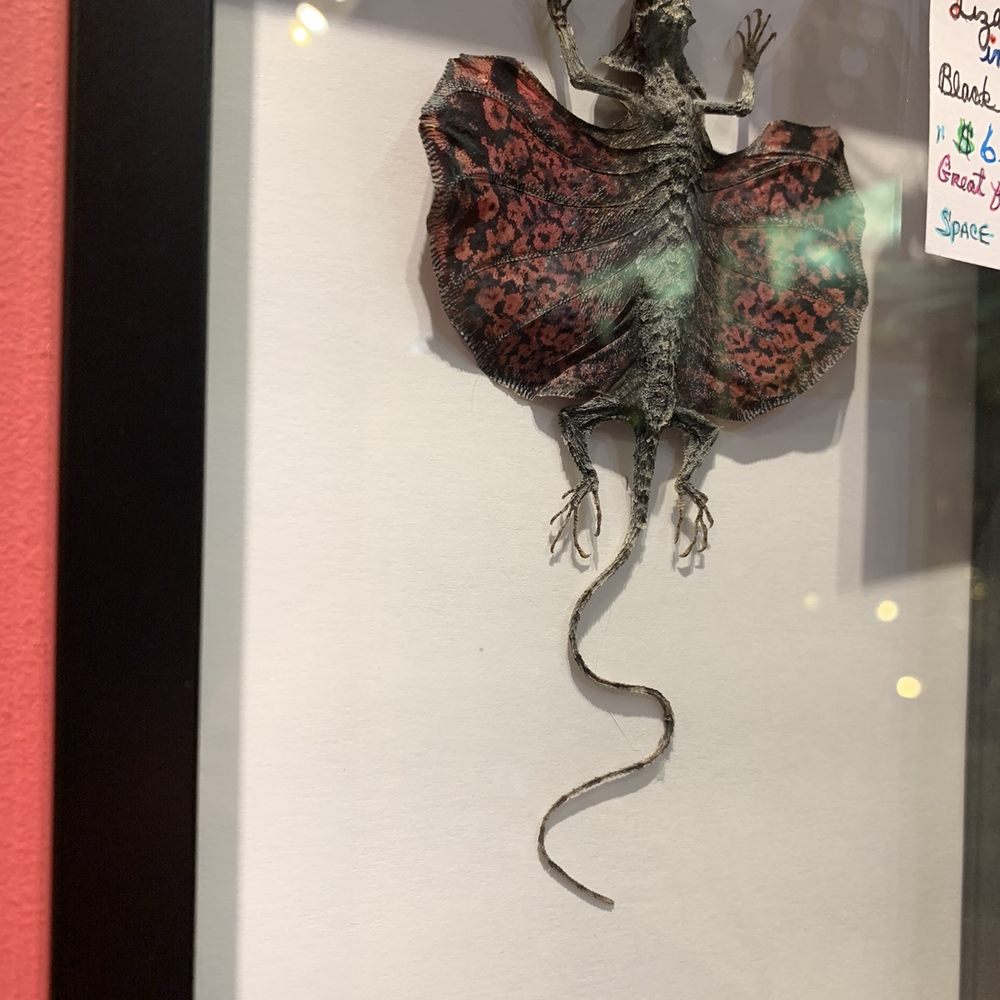 Pasadena Antique Mall - Fun stuff - Antiques Near Me - Pasadena, California