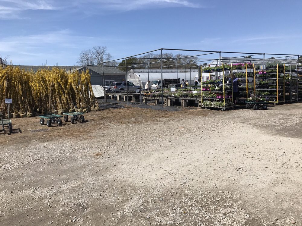 CAPE COD WHOLESALE NURSERY Updated August 2024 6 Martin Rd, East