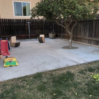 Pearloga Tree service - Shaped my lemon tree - Tree Services Near Me