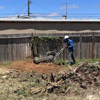 Fidel's Tree Experts - Stump removal - Tree Services Near Me Fidel's Tree Experts - Stump removal - Tree Services Near Me