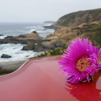 Sonoma Coast State Beach - My truck Electra enjoying the Bodega Head million dollar views - Parks Near Me - Bodega Bay, California Sonoma Coast State Beach - My truck Electra enjoying the Bodega Head million dollar views - Parks Near Me - Bodega Bay, California