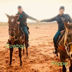 Horseshoe Bend Trail Rides