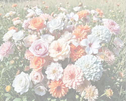 Zara Wellness Center