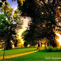 Delaware Park trees