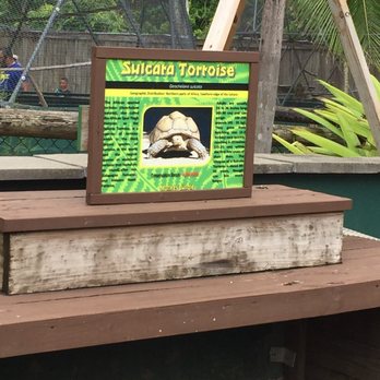 Monkey Jungle - Zoos Near Me - Miami, Florida Monkey Jungle - Zoos Near Me - Miami, Florida