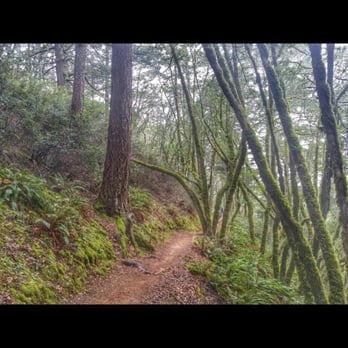 Steep Ravine Trail - Steep Ravine trail - Hiking Near Me