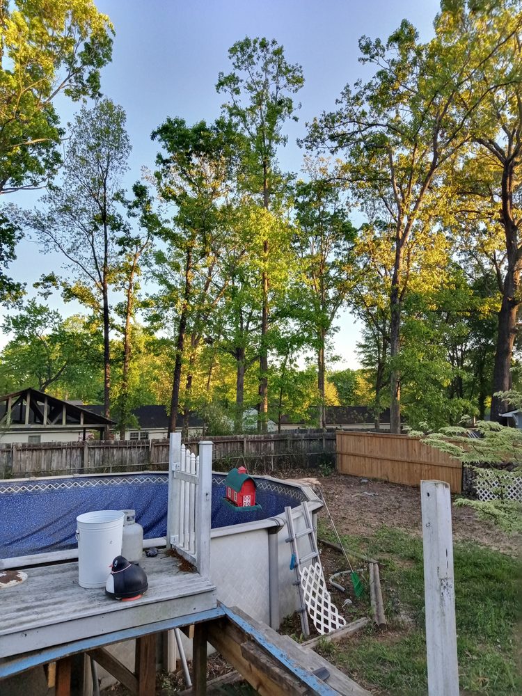 Brad's Tree Care - tree service in Piedmont, SC