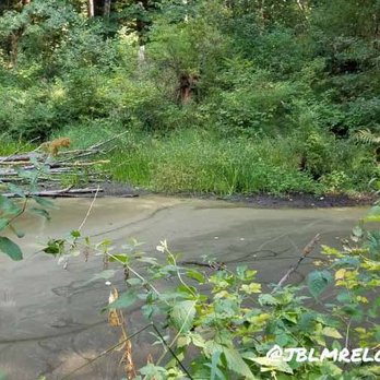 McLane Creek Nature Trail - Parks Near Me - Olympia, Washington McLane Creek Nature Trail - Parks Near Me - Olympia, Washington