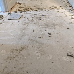 After ripping out all of the underlayment and original carpet After ripping out all of the underlayment and original carpet