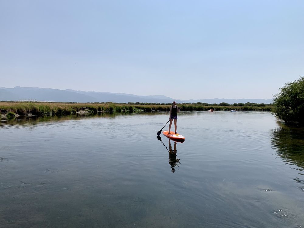 Wai Mauna Paddleboard Rentals Logo