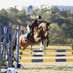 Seascape Sport Horses