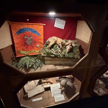 Graveface Museum - Museums Near Me - Savannah, Georgia
