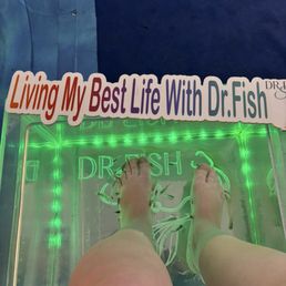 Fish are feasting! Fish are feasting!