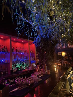 Willow Detroit by null