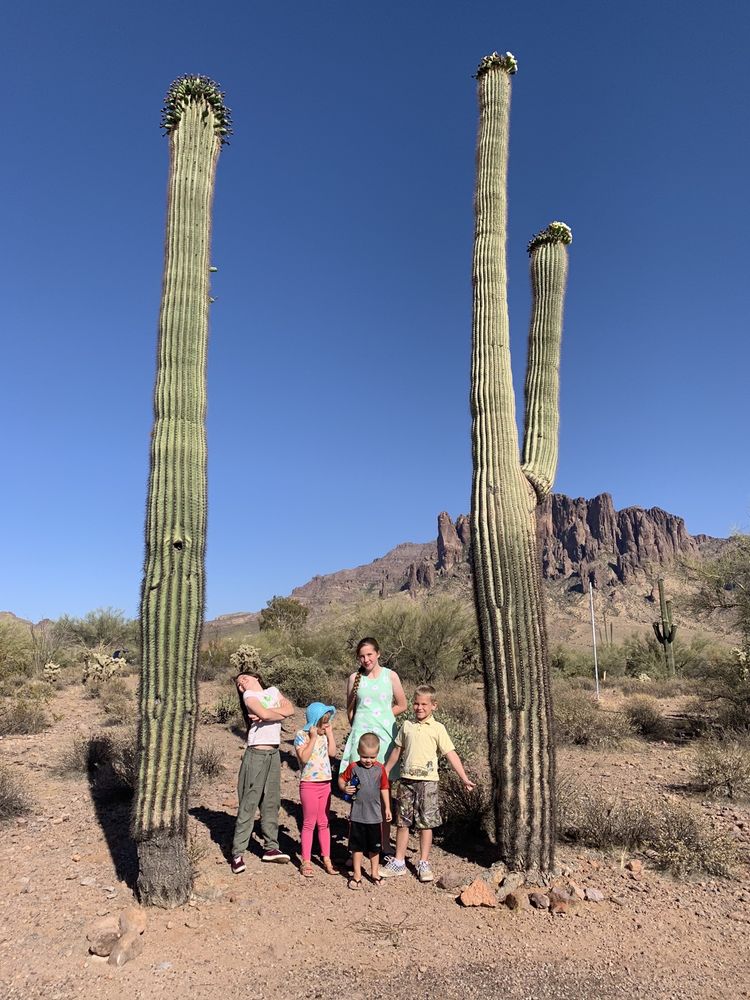 Family Service Agency - child therapist in Mesa, AZ