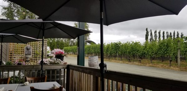 Bacchus Bistro by null