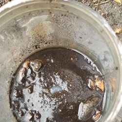 Pacific Topsoils