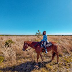 Lazy H Ranch - You go through several plant communities on this trail. These grasses were beautiful.