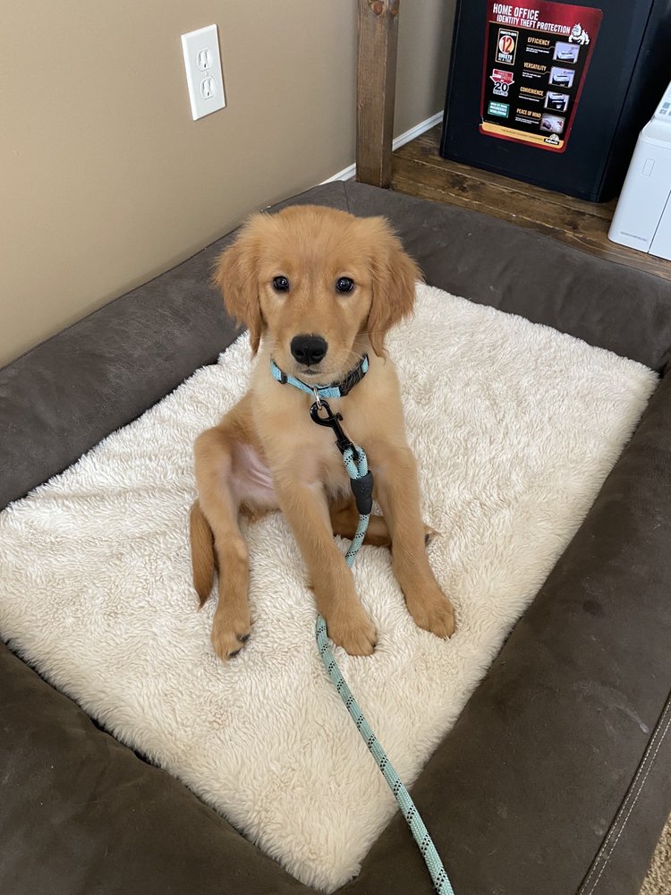 BEST CARE PET HOSPITAL Updated October 2024 2021 E Santa Fe St