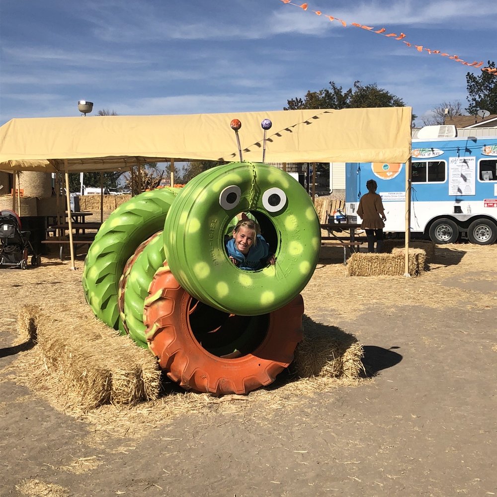 Gordos Fun Farm - Playground - Pumpkin Patches Near Me - Spanish Fork, Utah Gordos Fun Farm - Playground - Pumpkin Patches Near Me - Spanish Fork, Utah
