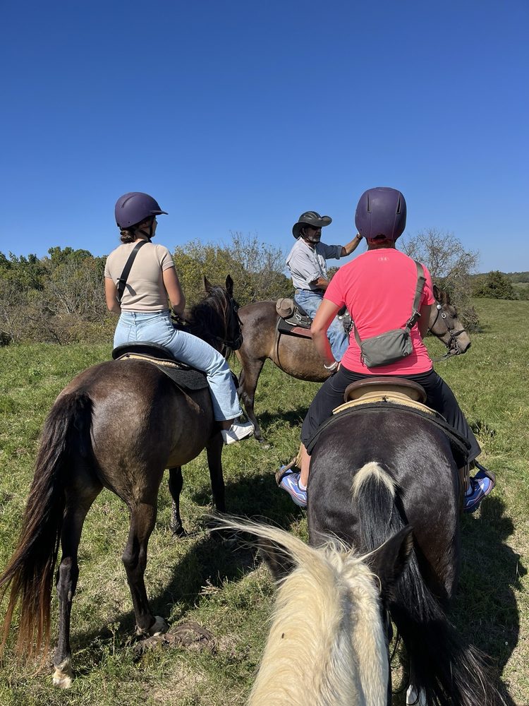 Big Red Stables - equestrian in Harrodsburg, KY