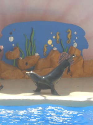 Miami Seaquarium by null