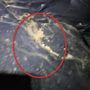 Photo of Bent Nail Inspections