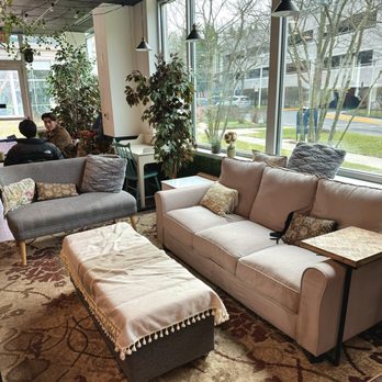 Cozy District Cafe - couches, tables, and a coffee table - New American Near Me - Fairfax, Virginia