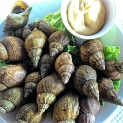 La Marie Galante - Une belle assiette de bulots en entrée avec sa mayonnaise maison