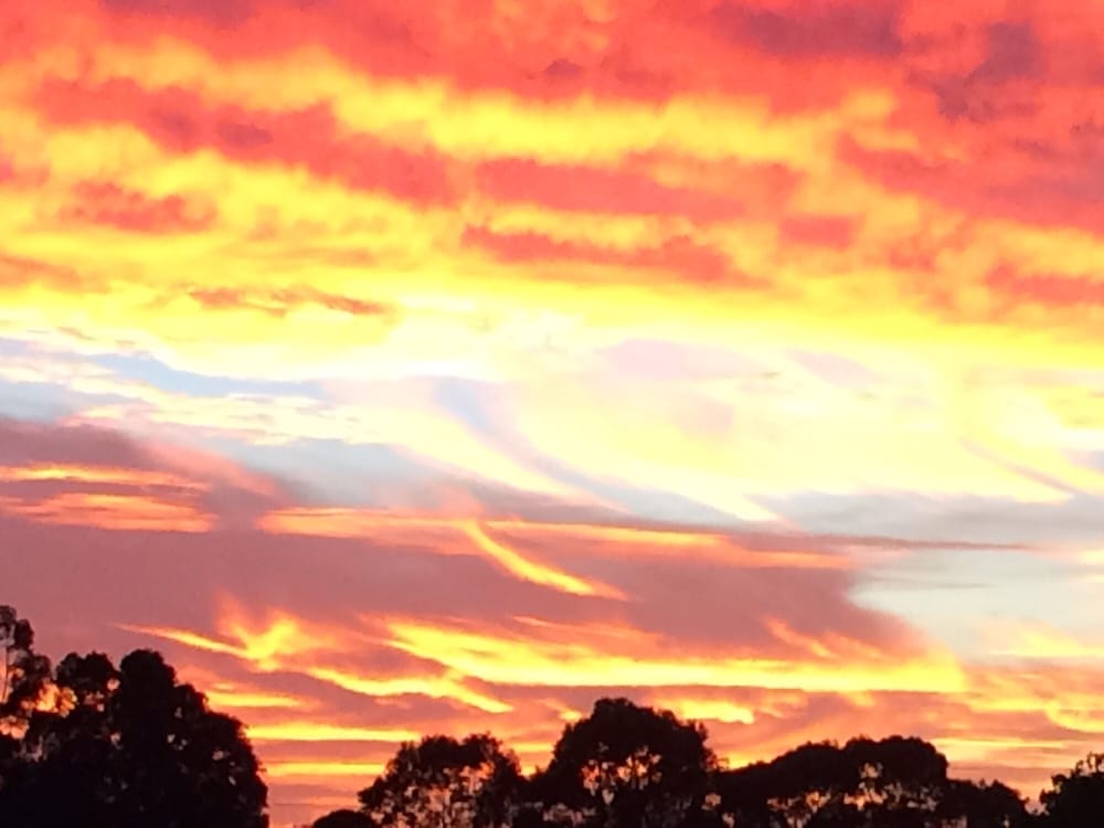 KEN’S FURNITURE REFINISHING Updated August 2024 650 Vaquero Rd