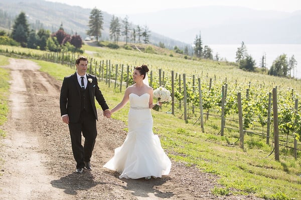 CedarCreek Estate Winery by null