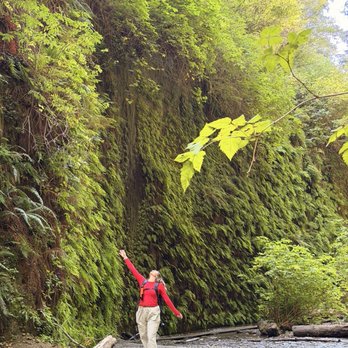 Prairie Creek Redwoods State Park - Fern canyon - Parks Near Me - Orick, California Prairie Creek Redwoods State Park - Fern canyon - Parks Near Me - Orick, California