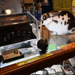 Mochi