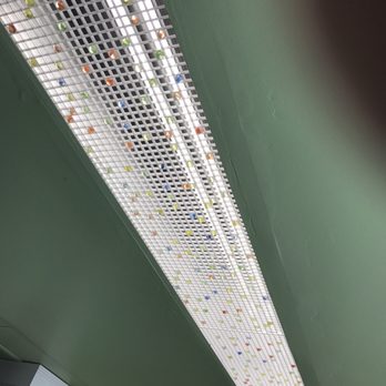 Raintree Bakery Coffeehouse - Marbles in the lighting! Genius! - Bakeries Near Me - Honolulu, Hawaii