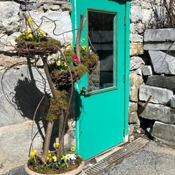 Toad Hall Flowers