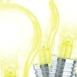 Lighting Specialists - Lighting Specialists: Lighting the Way.