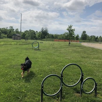 Heritage Trail Dog Park - Small dog side, agility equipment - Dog Parks Near Me - Hilliard, Ohio Heritage Trail Dog Park - Small dog side, agility equipment - Dog Parks Near Me - Hilliard, Ohio