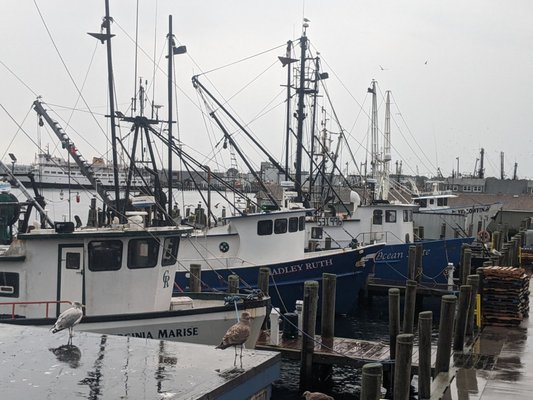 Champlin's Seafood by null