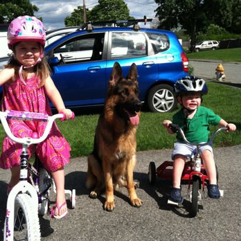 Cappa's Kennel - Pet Training Near Me Cappa's Kennel - Pet Training Near Me