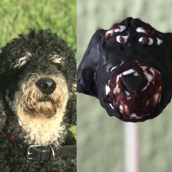 Christie's Cake Pops - The labradoodle - Desserts Near Me Christie's Cake Pops - The labradoodle - Desserts Near Me