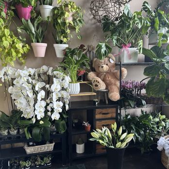 A Garden Floral - Florists Near Me - Las Vegas, Nevada A Garden Floral - Florists Near Me - Las Vegas, Nevada