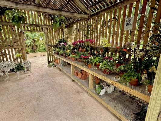 Ann Norton Sculpture Gardens by null