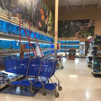 PetSmart - Limited access to fish tanks. There was a weird odor around this area. - Pet Training Near Me - Louisville, Kentucky