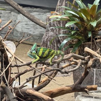 City Museum - Museums Near Me - Saint Louis, Missouri