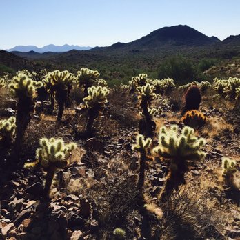 Desert Vista Trail Head - Hiking Near Me - Phoenix, Arizona