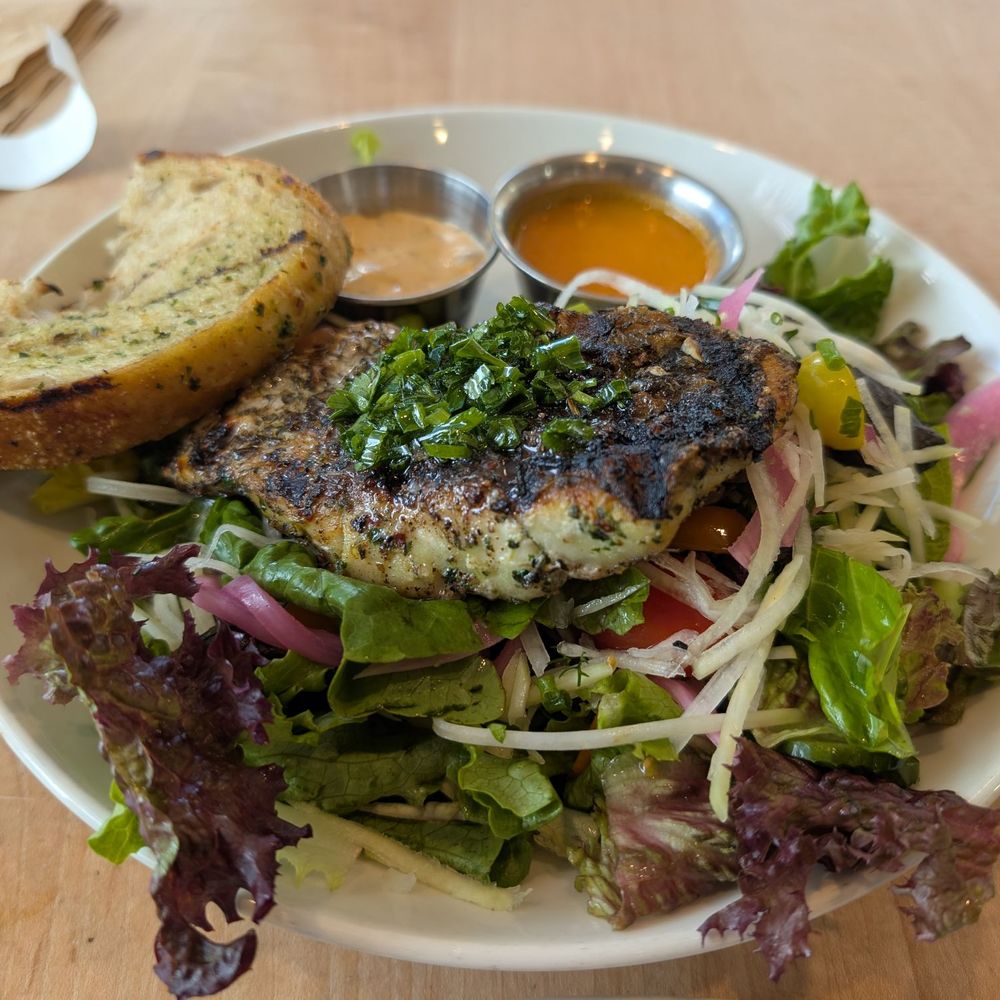 Tender Greens - Grilled sea bass salad - New American Near Me - Palo Alto, California Tender Greens - Grilled sea bass salad - New American Near Me - Palo Alto, California